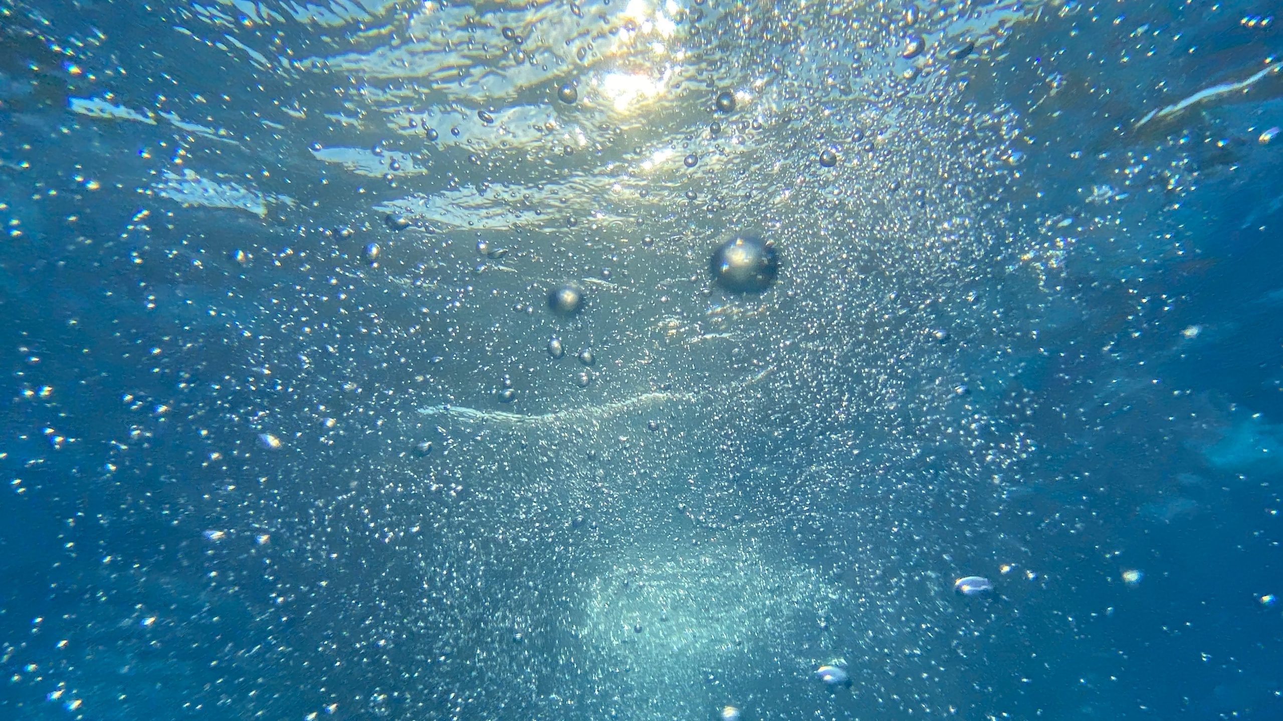 Aucklanders’ and environment health and safety at risk from Watercare budget cuts