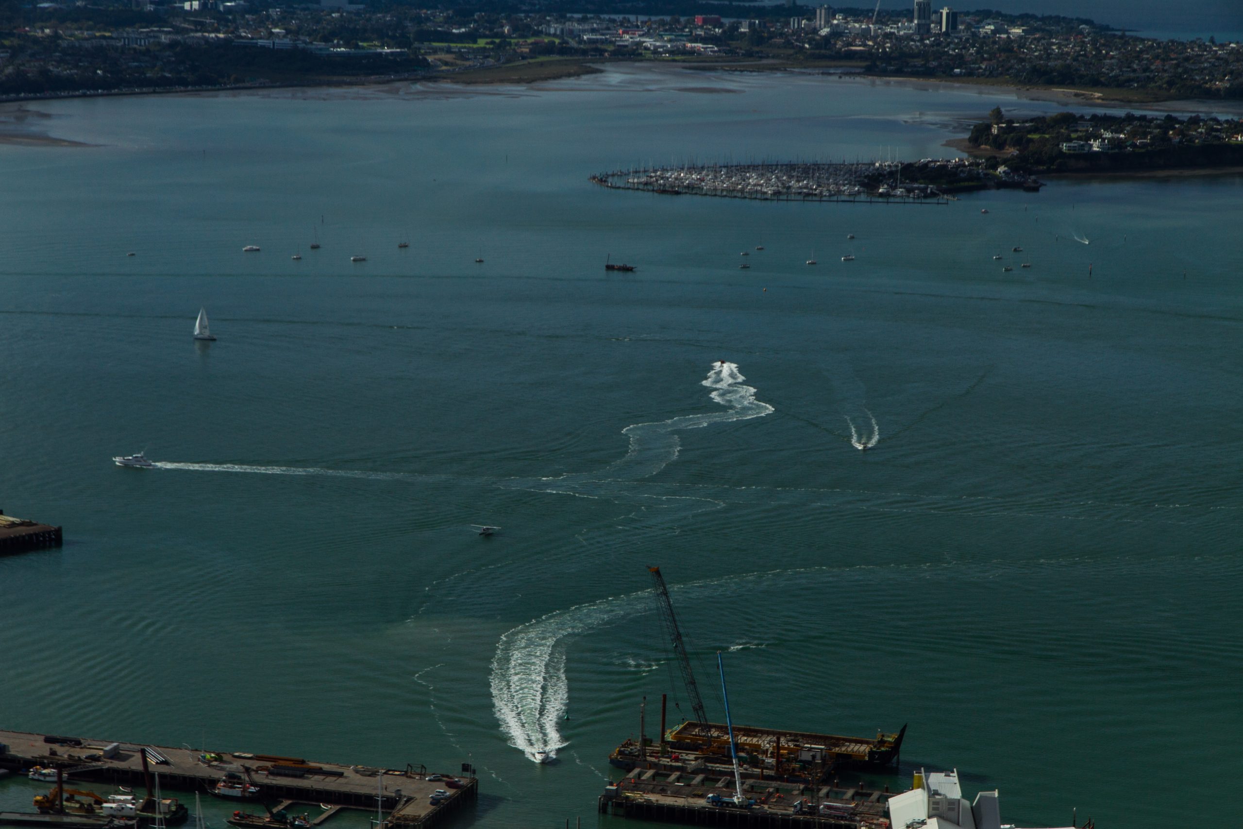 Ports of Auckland – Tony Gibson