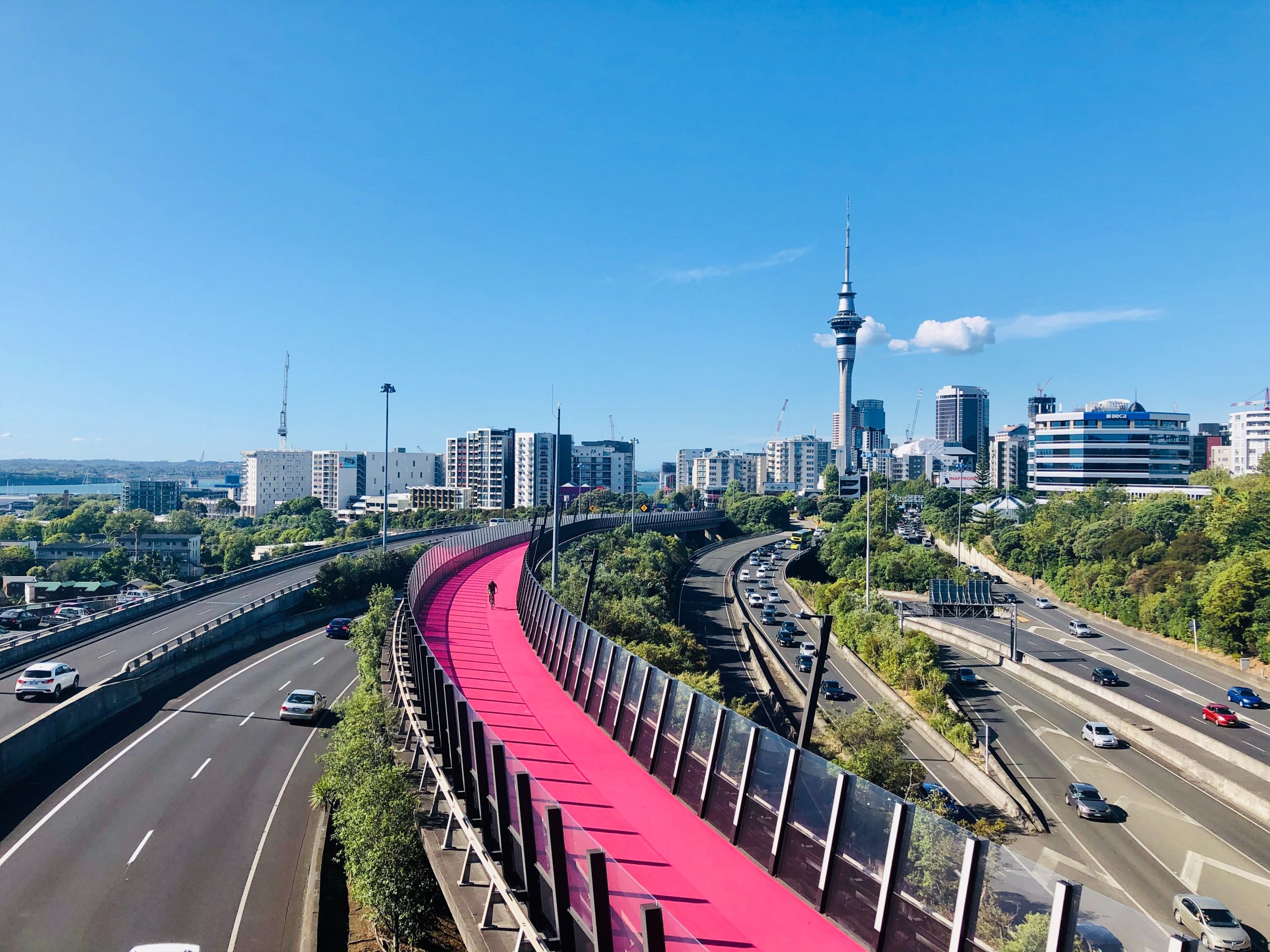 Business Confidence fails as level 2 hopes fade