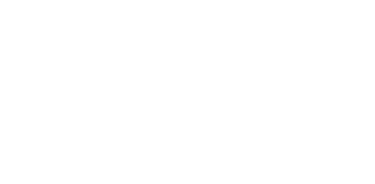 Chamber Mentors logo
