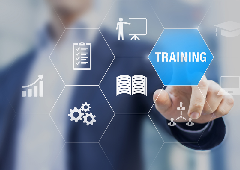 The Staff Training Dilemma: Balancing Efficiency with Employee Development